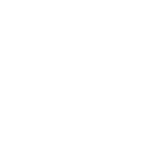 Search Engine Optimization Icon