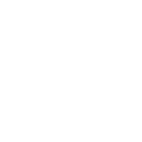 Web Design and Development Services Icon